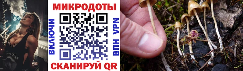 Псилоцибиновые грибы MAGIC MUSHROOMS  мега ссылки  Белово  продажа наркотиков 